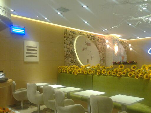 广州91视频网站下载